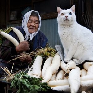 Mai - rencontre-Asiatique-Orléans